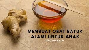 Kini, sudah banyak obat batuk anak dijual di pasaran. Membuat Obat Batuk Alami Untuk Anak Kisah Kepompong