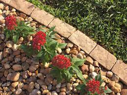 99 5% coupon applied at checkout save 5% with coupon How To Install Garden Edging Hgtv