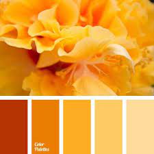 Color Palette 1009 Color Palette Ideas Orange Color Palettes Color Palette Color Balance