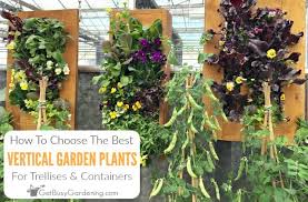 Castlegarden.org is a free database developed and funded by the battery conservancy. How To Choose The Best Vertical Garden Plants Get Busy Gardening