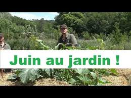 Pin Auf Potager