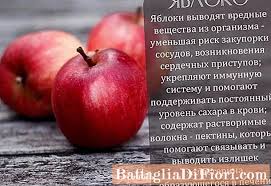 Kandungan karbohidrat pada apel jazz adalah 22 g, atau sekitar 7. Epal Untuk Menurunkan Berat Badan Kandungan Kalori Dan Komposisi Kimia Sifat Berguna Dan Berbahaya Bagi Epal Berkebun 2021
