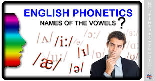 The international phonetic alphabet divides its letter symbols into three categories: Phonetics Names Of The Vowels Multimedia English