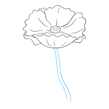 5 step:2 now ligh shade in the circle. How To Draw A Poppy Really Easy Drawing Tutorial