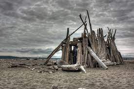 Driftwood Shelter Driftwood Beach Driftwood Outdoor Life