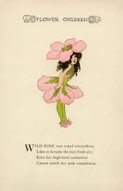 Wild Rose Flower Child Free Storybook Illustration Flower Child Kids Poems Vintage Drawing