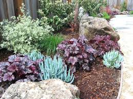Pin By Angelina Poirier On Landscape Architecture Drought Resistant Landscaping Drought Tolerant Landscape Front Yard Drought Tolerant Garden