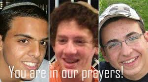 Our Boys, Our Brothers, Our Hope: The Israel Forever Foundation