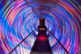 Ripley's operates 35 oddity museums worldwide, and the experience of visiting one is a bit like devouring a pint of ice. Die Besten Orlando Ripley Glaubt Es Oder Nicht Orlando Touren 2021 Viator