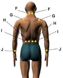 Muscle spasms in the upper back are painful, but don't make them worse with a lot of exercise. Acupressure Points For Relieving Chronic Fatigue Herbalshop