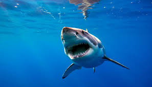 Karinaworld nude she arrived at my accommodation on time,