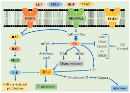 We did not find results for: Cancers Free Full Text Current Perspective On The Natural Compounds And Drug Delivery Techniques In Glioblastoma Multiforme Html