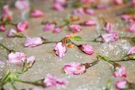 Preserving Cherry Blossoms For Fancy Sparkling Wine Garnishes Offbeat Home Life