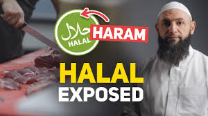 In terms of food, it means food that is permissible according to islamic law. Ruffled Feathers Exposing The Halal Industry