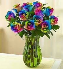 Wash with regular dark laundry size guide below: Rainbow Roses Beautiful Flowers Garden Green Vase 1800flowers