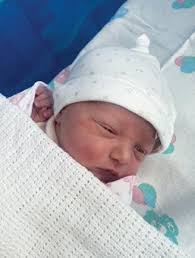 Salvo 2023 by Elstreeschool