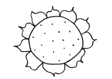 Malvorlagen Blumen Und Bluten Ausmalbilder Fur Kinder