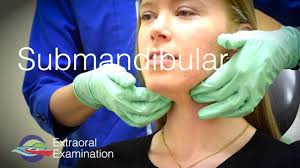Image result for Submandibular Exam