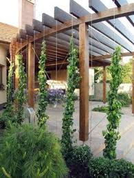 Schatten Pracht Pergola Ideen Hinterhof Besten Outdoor Pergola Backyard Pergola Pergola