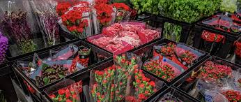 We did not find results for: Danisa S Wholesale Fresh Flowers Inc Linkedin