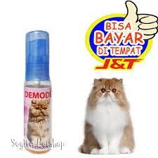 Jadi untuk merawat kucing yang dijangkiti kutu ini mudah kerana sekarang pelbagai produk. Obat Luka Kucing Bulu Rontok Botak Koreng Jamur Demodex Shopee Indonesia