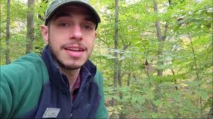 Putty-Root Orchid: A Tenacious Autumn Treat