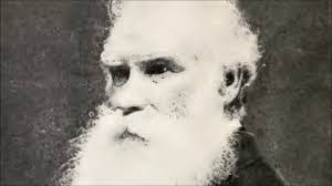 Ephraim Green's Instagram, Twitter & Facebook