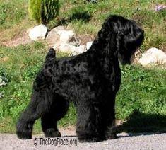 Choose from various materials and finishes. Rhonda Wright Key Realty Rhonwright Profile Pinterest