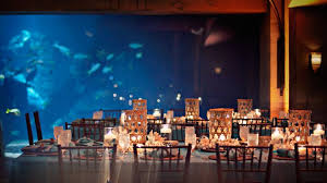 Fathoms Wedding Ceremony Reception Venues Atlantis Paradise Island Bahamas Wedding Venues Venues Bahamas Wedding