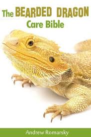 The Bearded Dragon Care Bible A Complete Guide To Keeping Beadies As Pets Andrew Romarsky Amazon Com Bearded Dragon Bearded Dragon Care Baby Bearded Dragon