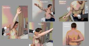 Image result for Shoulder Range of Motion Exercises