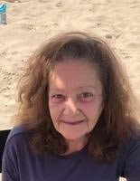 Root returning to lead Falcons football program