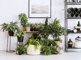 Destinée à de nombreux supports, cette peinture leurs confèrera une couvrance inégalée et. Jardinieres 5 Idees A Faire Soi Meme Pour Exposer Ses Plantes