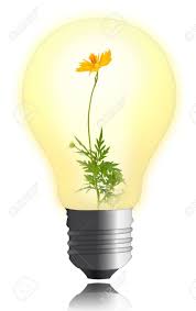 Our quiz suggests tips for distancing and selecting the best pairings. Yellow Flower Growing Inside The Light Bulb Stock Photo Picture And Royalty Free Image Image 11068501