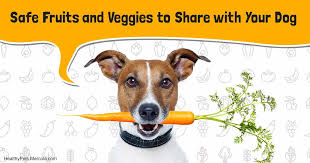 What fruits are safe for dogs. Never Feed Your Dog These Fruits And Veggies
