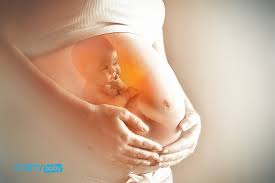 Em bé trong bụng mẹ sẽ làm gì mỗi ngày? - MarryBaby