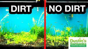 Dirt Vs No Dirt Proof Planted Tank Substrate Time Lapse Of Growth Youtube Planted Aquarium Plants Fish Tank