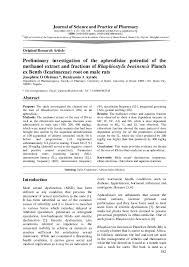 Image result for Rhaphiostylis beninensis