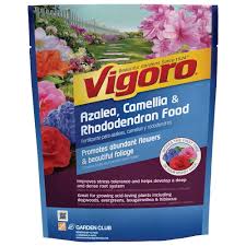 Dig the new hole as large as the root ball and set the rhododendron in the hole. Vigoro 3 5 Lb All Season Azalea Camellia And Rhododendron Plant Food 124248 The Home Depot