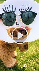 Pin On Tiktok