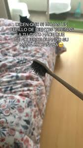 Cómo los gatos recuerdan a su mamá