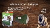 Kopek Savar Ise Yariyor Mu Youtube