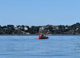 Maybe you would like to learn more about one of these? Things To Do In Bodega Bay With Kids Attractions And Activities Family Road Trip Guru Kid Friendly Travel Ideas