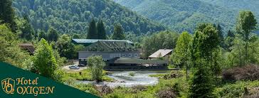Pensiunea mili din poiana marului caras severin. Hotel Ho2 Poiana MÄrului Home Facebook