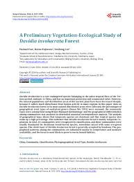 Image result for Heteromorpha involucrata