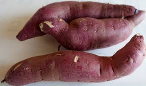 So for the cost of $6 i will have around 60 slips. Growing Sweet Potatoes In Containers At Home Agri Farming