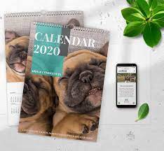 Melissa rich, our newest veterinarian who joined housepaws in january 2020. Upload Your Pets Photos For 2020 Charity Calendar Comber Vets Ards Vets