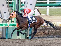 Jun 07, 2021 · 6月13日（日）札幌競馬場で行われる、第28回函館スプリントステークス（g3・3歳上オープン・芝1200m）の登録馬は下記の通り。 スピード優位なその走りから、短距離に活路を求めてようやく結果が出たコントラチェック。 Yjpniufsky7 M