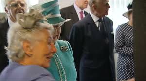 346 Ruth Fair Stock Videos, Footage, & 4K Video Clips