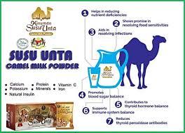 The nutritional benefits of camel milk powder are endless. Al Nassma Camel Milk Chocolate 3 Pack Buy Online In Pakistan At Desertcart Pk Productid 172725755